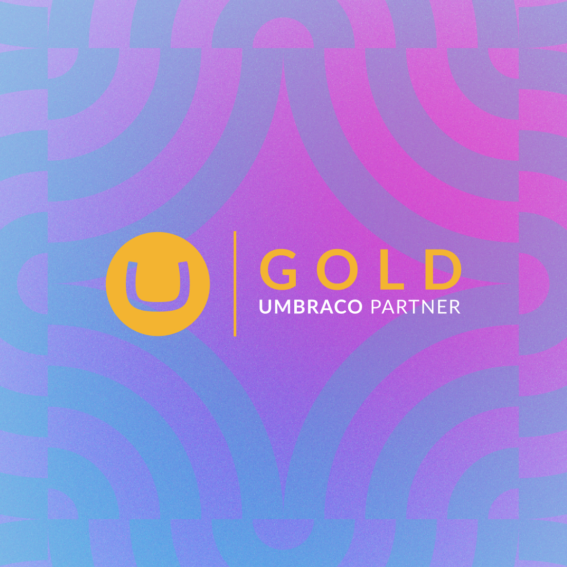 Umbraco Gold Partner